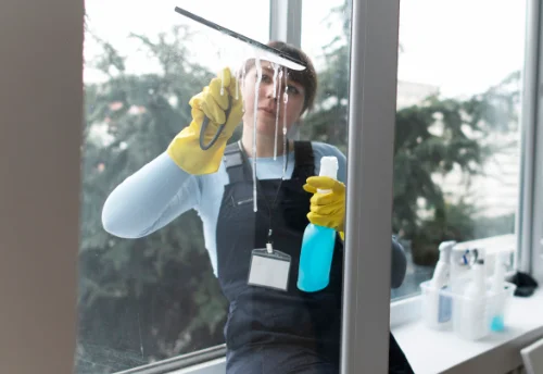 Nettoyage de vitres intérieures et extérieures à Dannemarie